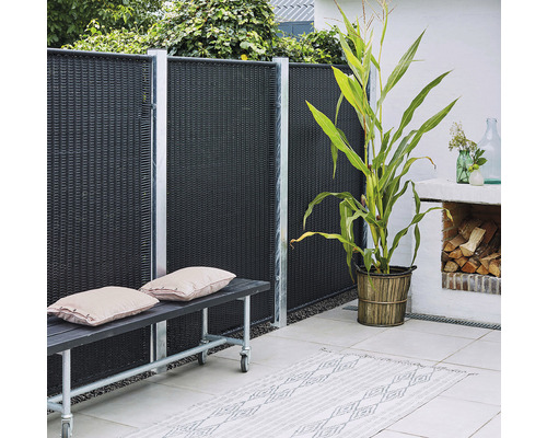 Trädgårdsscen med insynsskydd, bänk, växt och trädgårdsdekoration för en stilfull uteplats