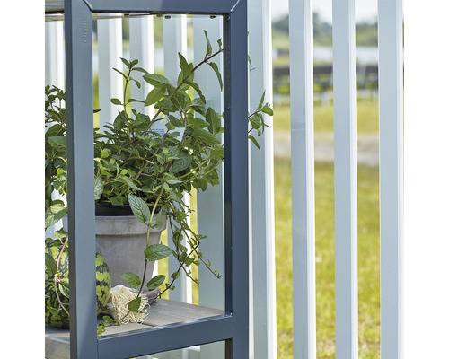 Växtställ med örter i kruka