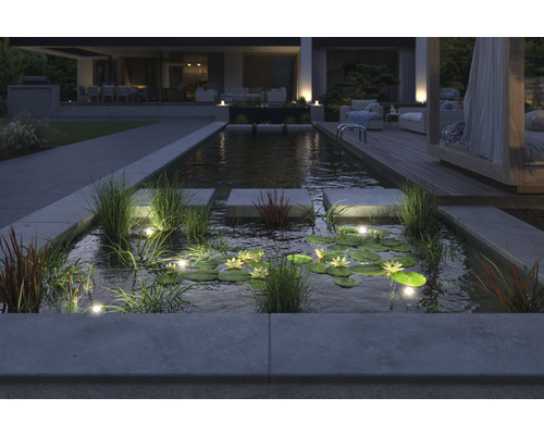 Upplyst trädgårdsdamm med näckrosor och trampstenar i en modernt designad trädgård.