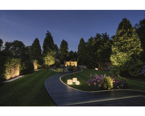 Upplyst trädgård med gräsmatta, träd och slingrande stig