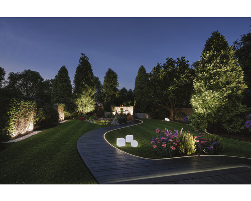 Upplyst trädgård med stig, gräsmatta och träd på natten