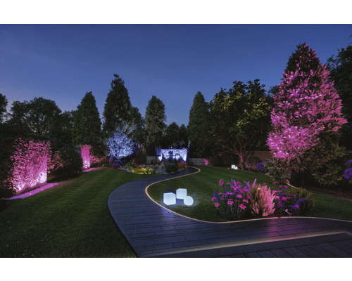 Belyst trädgård med stig, gräsmatta och träd på kvällen