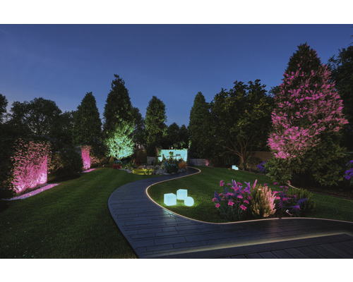 Upplyst trädgård med stig, träd och dekorativ trädgårdsbelysning i skymningen