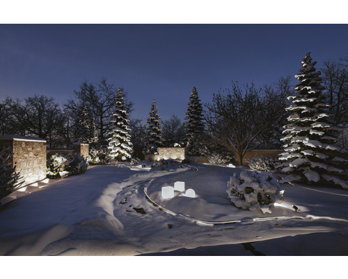 Vinterlandskap med upplysta träd och trädgårdsgång i snön