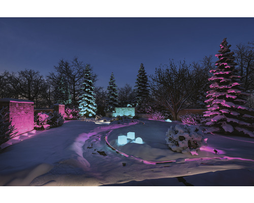 Vinterlandskap med belysning i trädgården