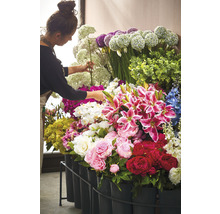 Kvinna arrangerar olika typer av blommor i krukor, inklusive rosor, liljor och prydnadslök.