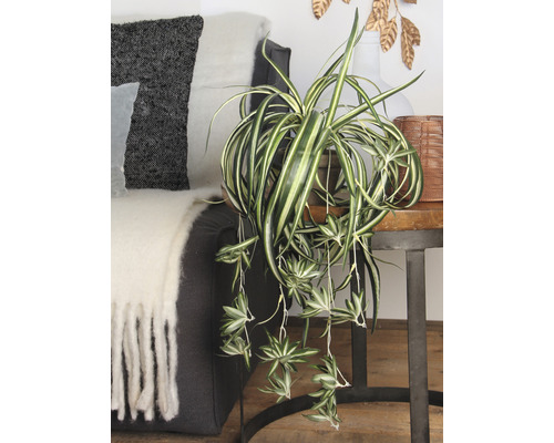 Rum med grön växt i kruka på ett sidobord bredvid en soffa