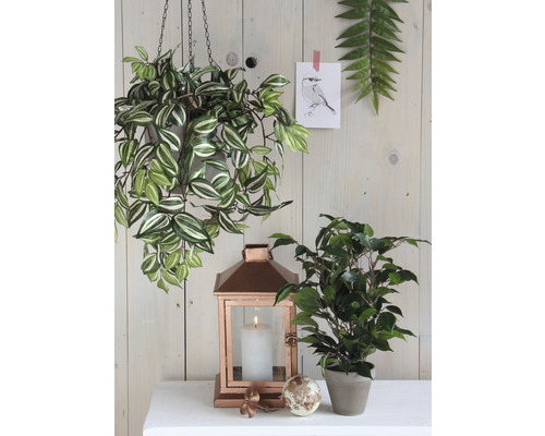 Dekorativ scen med hängande växt, lykta och krukväxt på ett bord.