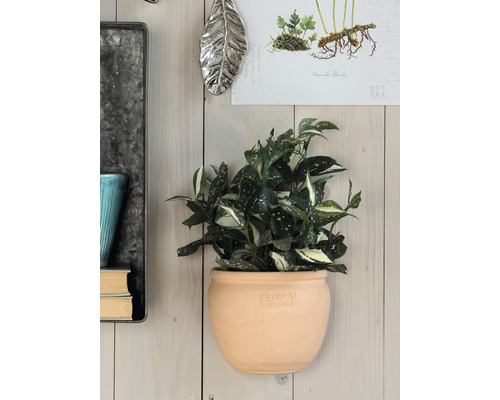 Väggdekoration med krukväxt i terrakottakruka på en trävägg