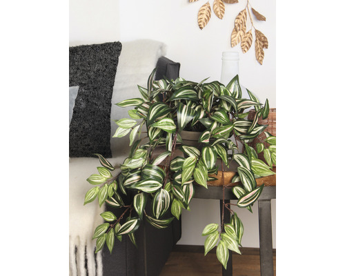 Dekorativ krukväxt på ett sidobord