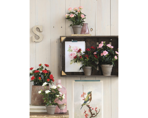 Dekorativa krukväxter med rosor på en hylla framför en träpanel