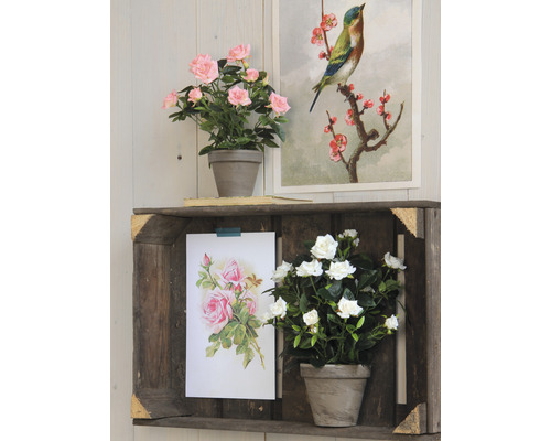 Dekorativ scen med trhylla, konstgjorda blommor och inramade bilder