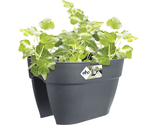 Mörkgrå Elho blomlåda med murgröna