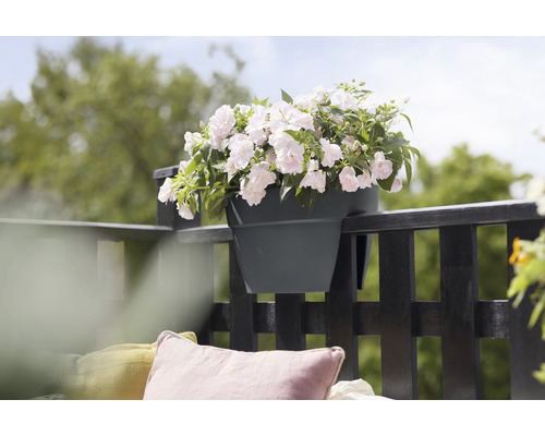 Blomlåda på balkongräcke med full plantering
