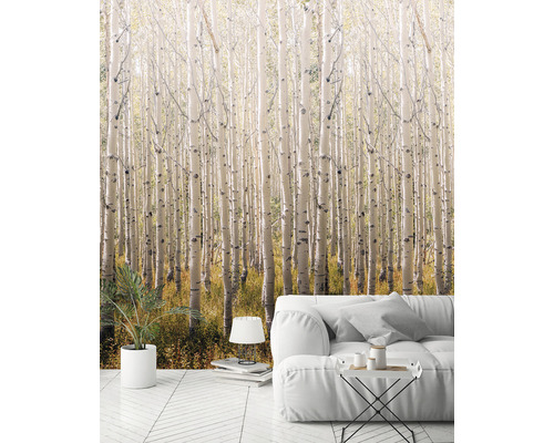 Vardagsrum med fototapet björkskog och vit soffa