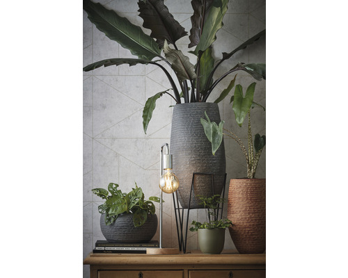 Dekorativt arrangemang med krukväxter i krukor på en träbyrå.