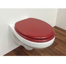 Vägghängd toalett med röd toalettsits