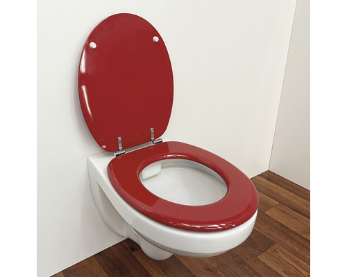 Vägghängd toalett med uppfälld toalettsits