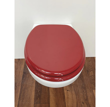 Toalettsits med lock