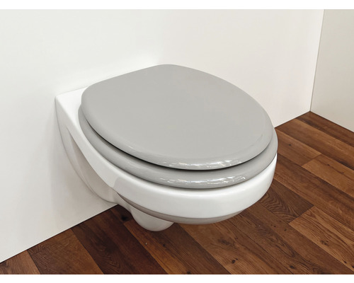 Vägghängd toalett med toalettsits