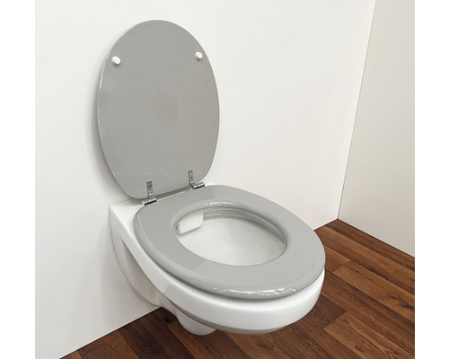 Vägghängd toalett med grått toalettlock i ett badrum