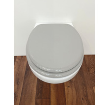 Vägghängd toalett med grå toalettsits på trägolv