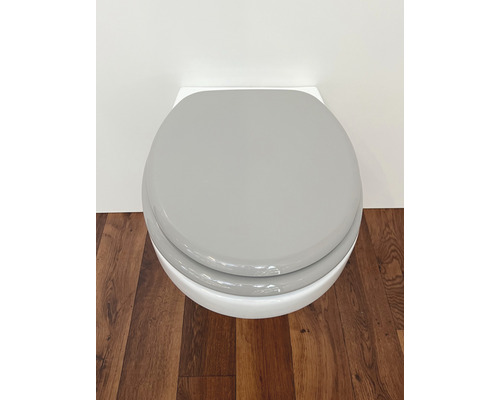 Vägghängd toalett med grå toalettsits på trägolv