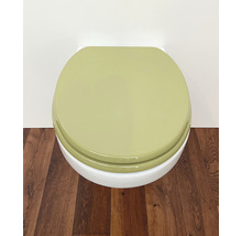 Toalett med stängt lock