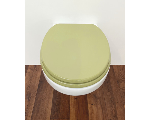 Toalett med stängt lock