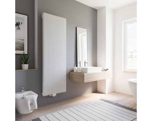 Modernt badrum med radiator, handfat, spegel, bidé och matta