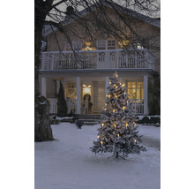 Vinterscen med upplyst julgran framför ett hus