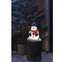 Lysande snögubbe med hatt och halsduk på en trädstubbe, omgiven av en snötäckt julgran.