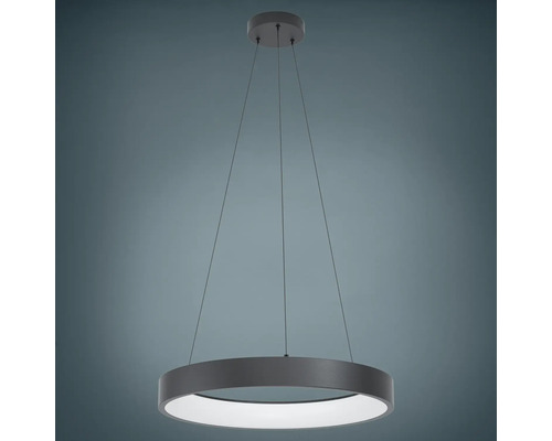 Cirkelformad hänglampa med LED-belysning