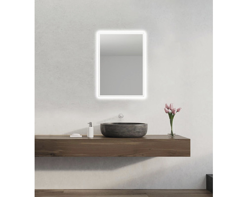 Badrum med spegel, tvättställ, tvättskål och dekoration