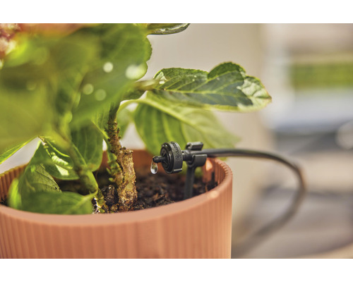 Droppbevattning i blomkruka för trädgårdsbevattning