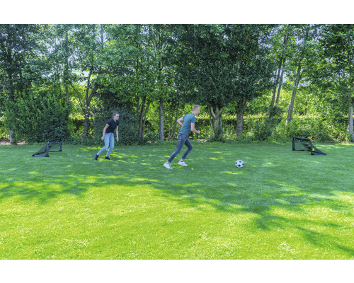 Två personer leker med en boll på en grön äng med två fotbollsmål.