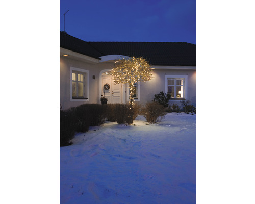 Belyst träd på vintern framför ett hus.