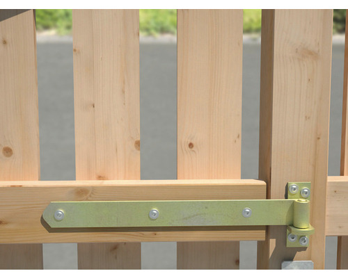 Detaljvy av en trädgårdsgrind med beslag