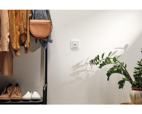 Väggströmbrytare i hallen bredvid klädställning och krukväxt
