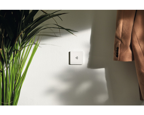 Fyrkantig väggströmbrytare med radiosymbol bredvid en krukväxt och en kappa på väggen.