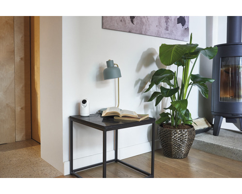 Inredningsidé med bord, lampa, kamera och krukväxt