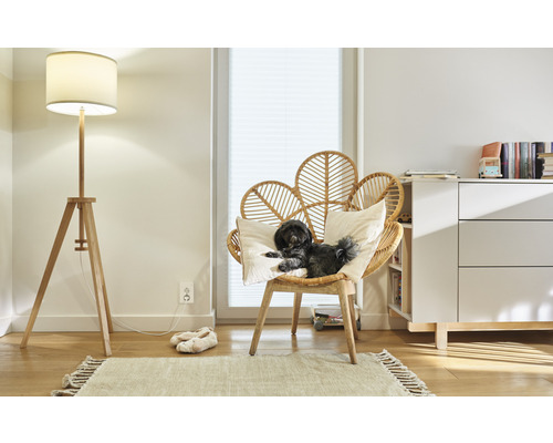 Ljust vardagsrum med golvlampa, rottingfåtölj och liten hund