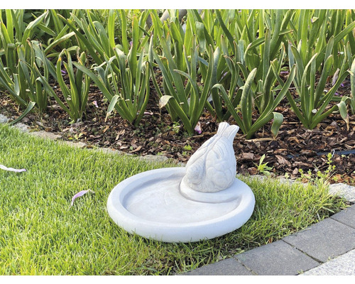 Fågelbad med fågelfigur i trädgården