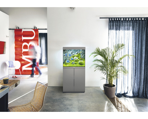 Vardagsrum med akvarium, växt och gardiner