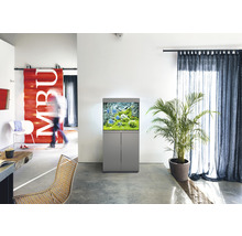 Vardagsrum i modern stil med akvarium och krukväxt