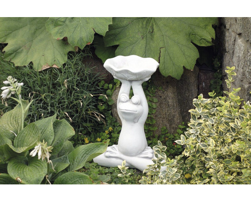 Groda trädgårdsfigur med fågelbad i trädgården