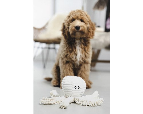 Hund med leksak bläckfisk