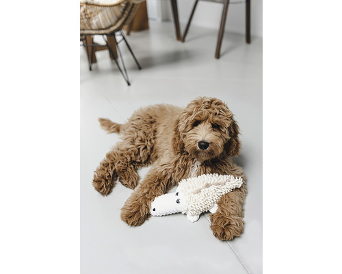 En lockig hund ligger med en krokodilleksak på golvet.