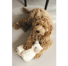 Goldendoodle-valp ligger med ett får gosedjur på golvet