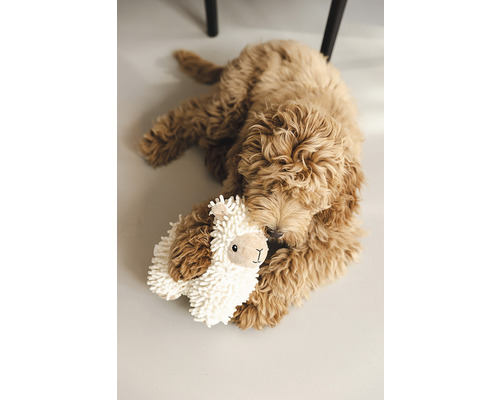 En gyllene doodle-hund gosar med en lama-plyschleksak på golvet.